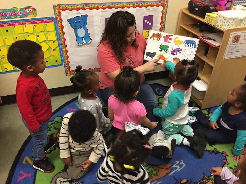 Fig & Olive Childcare